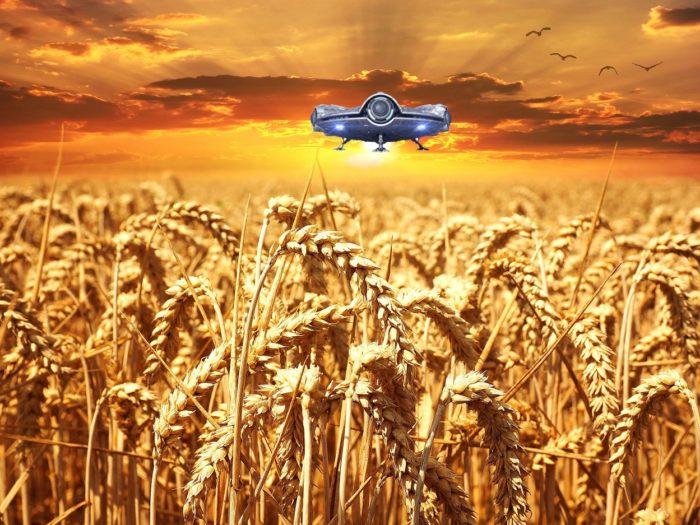 A superimposed UFO over a wheat field at dawn