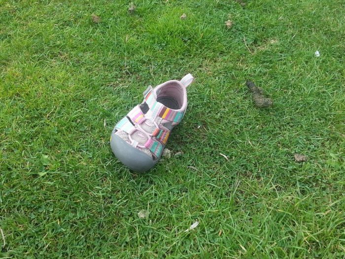 A lone shoe on the grass