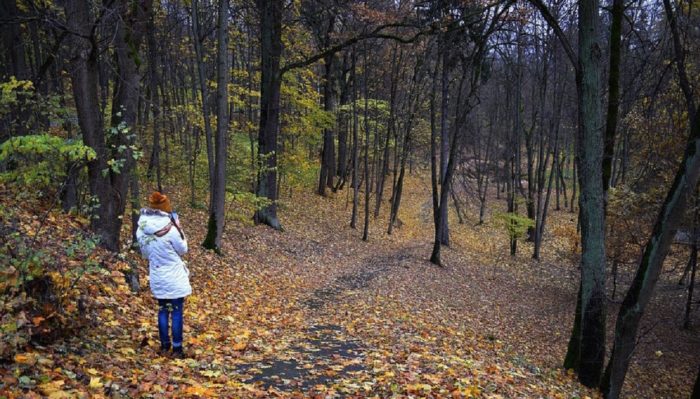 A picture of a person in a forest