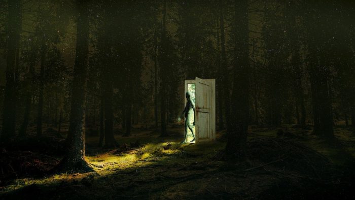 A depiction of an alien entering a forest through a portal