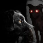 Bizarre Tales Of Demonic Black Dogs Around The World!