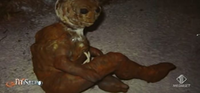 A close-up of the alleged alien entity