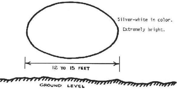 An artist's impression of the dimensions of the UFO