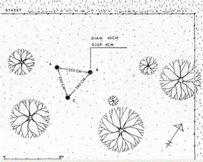 Witness drawing of the incident