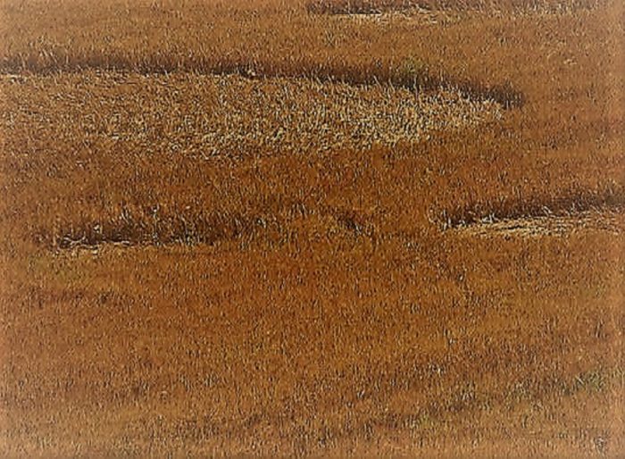 A close-up of the depressions in the field 