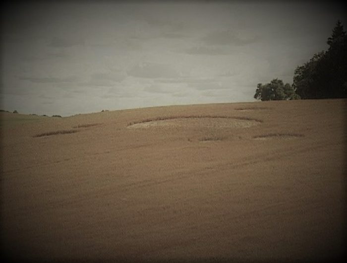 A picture of the field with strange depressions 