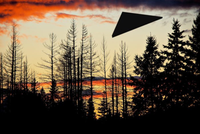 A superimposed UFO over a a forest at dawn