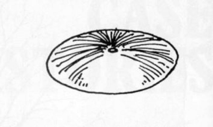 A witness sketch of a UFO