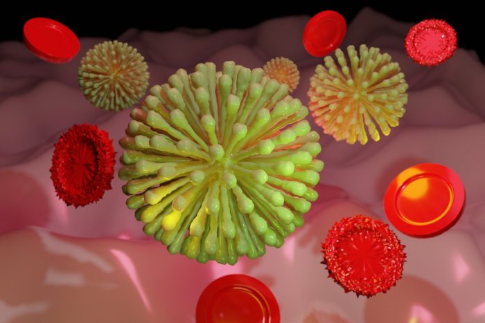 Germs, bacteria, blood cells