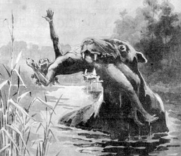 Depiction of the legendary Bunyip