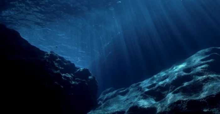 A shot from under the water