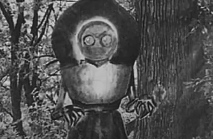 A sketch of the Flatwoods Monster
