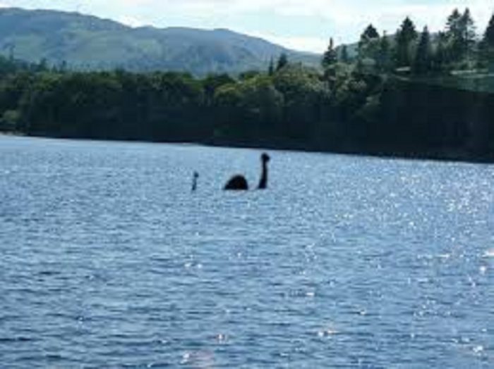 A picture claiming to show the Loch Ness Monster