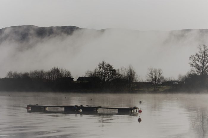 A picture of the Loch with mist at the water's edge