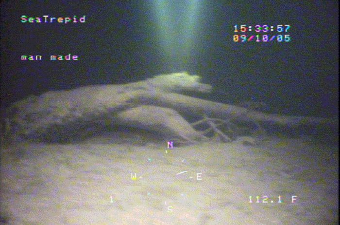 An image showing an alleged deep sea monster