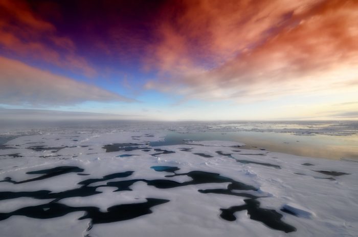 The icy water of Antarctica stretching into the distance