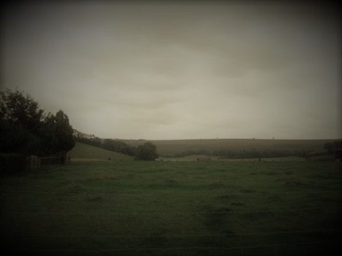 A view of the field where the alleged UFO landed