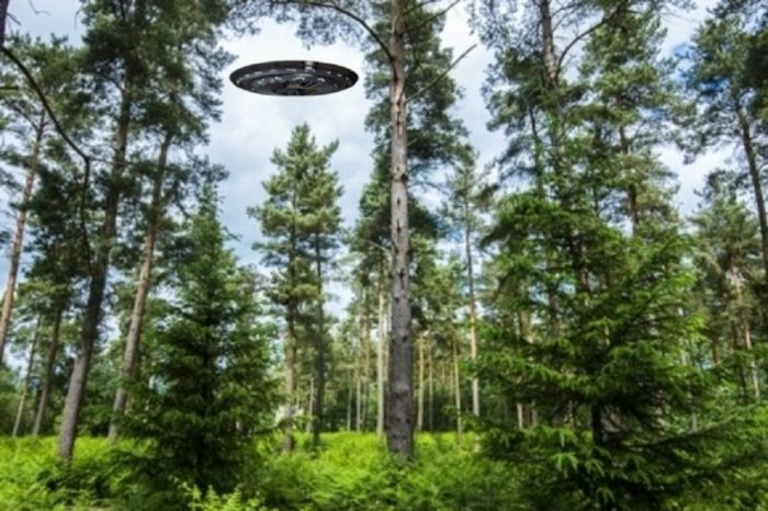 A superimposed UFO over the woods in the daylight