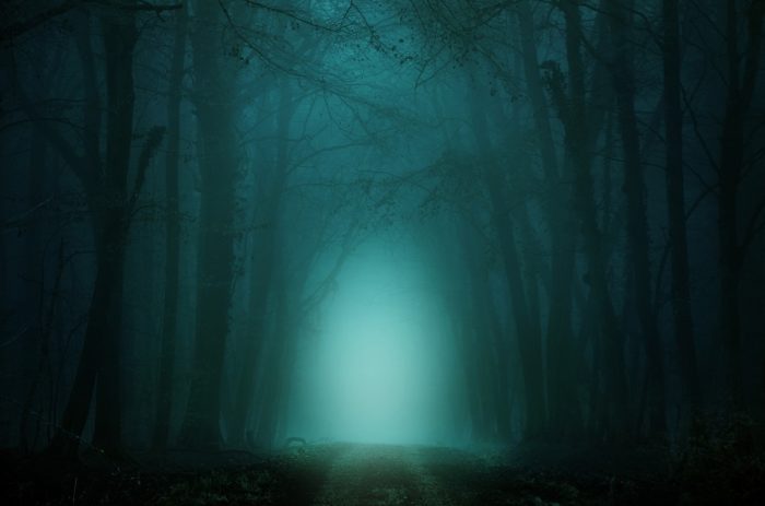 A picture of a strange glow in a wood at night