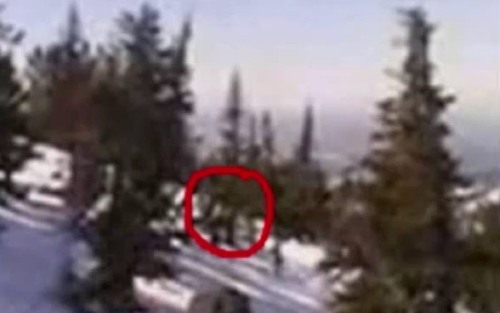 Picture claiming to show a real-life Yeti