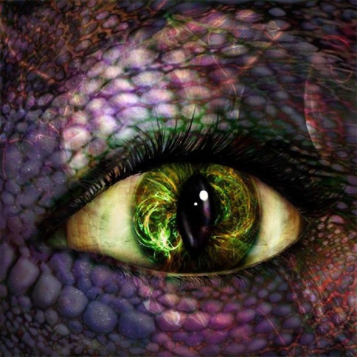 A close up of a reptilian eye