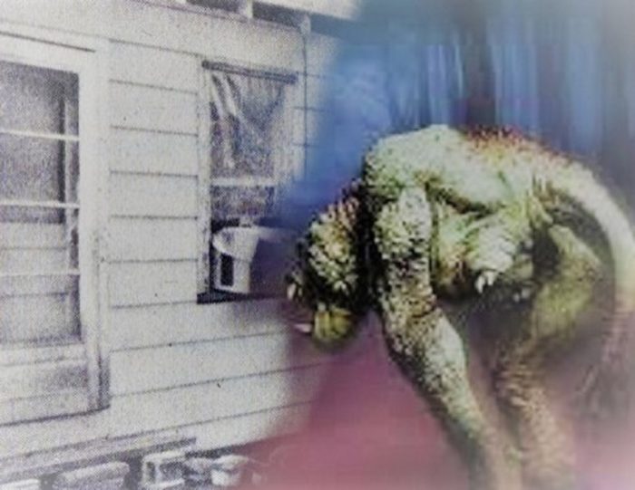 A blended picture of a house and monster-like creature