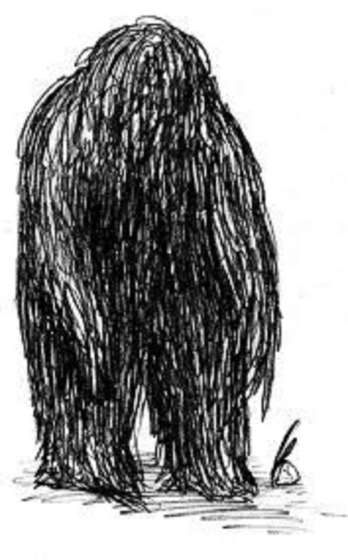 Witness sketch of the Mount Vernon Monster
