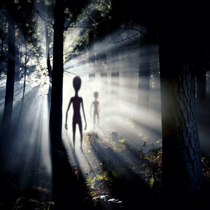 A depiction of aliens in the woods