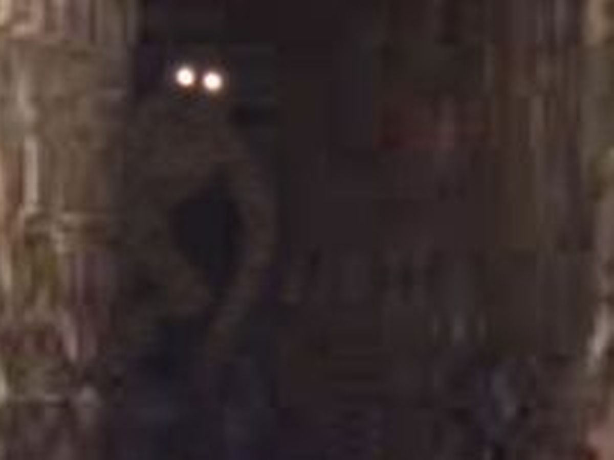 A picture of a faked monster in the sewers