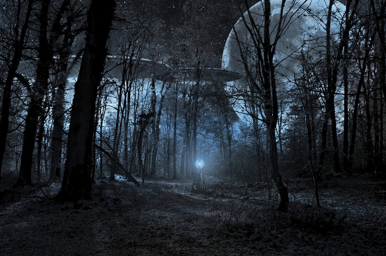 A depiction of a UFO in a wood