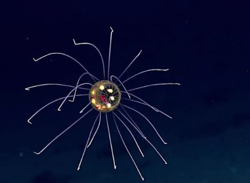 A depiction of a jellyfish UFO