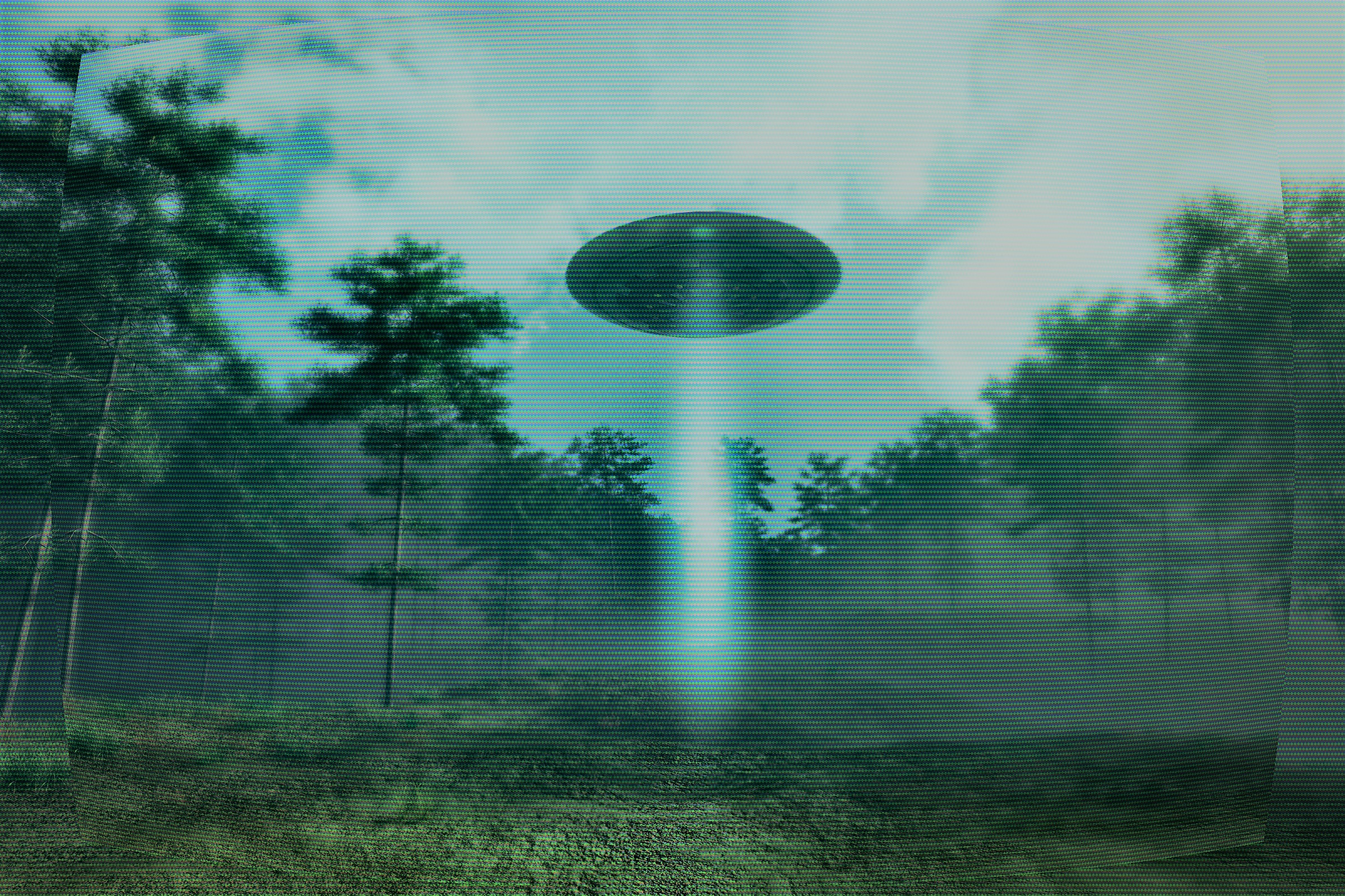 A UFO in a forest clearing 