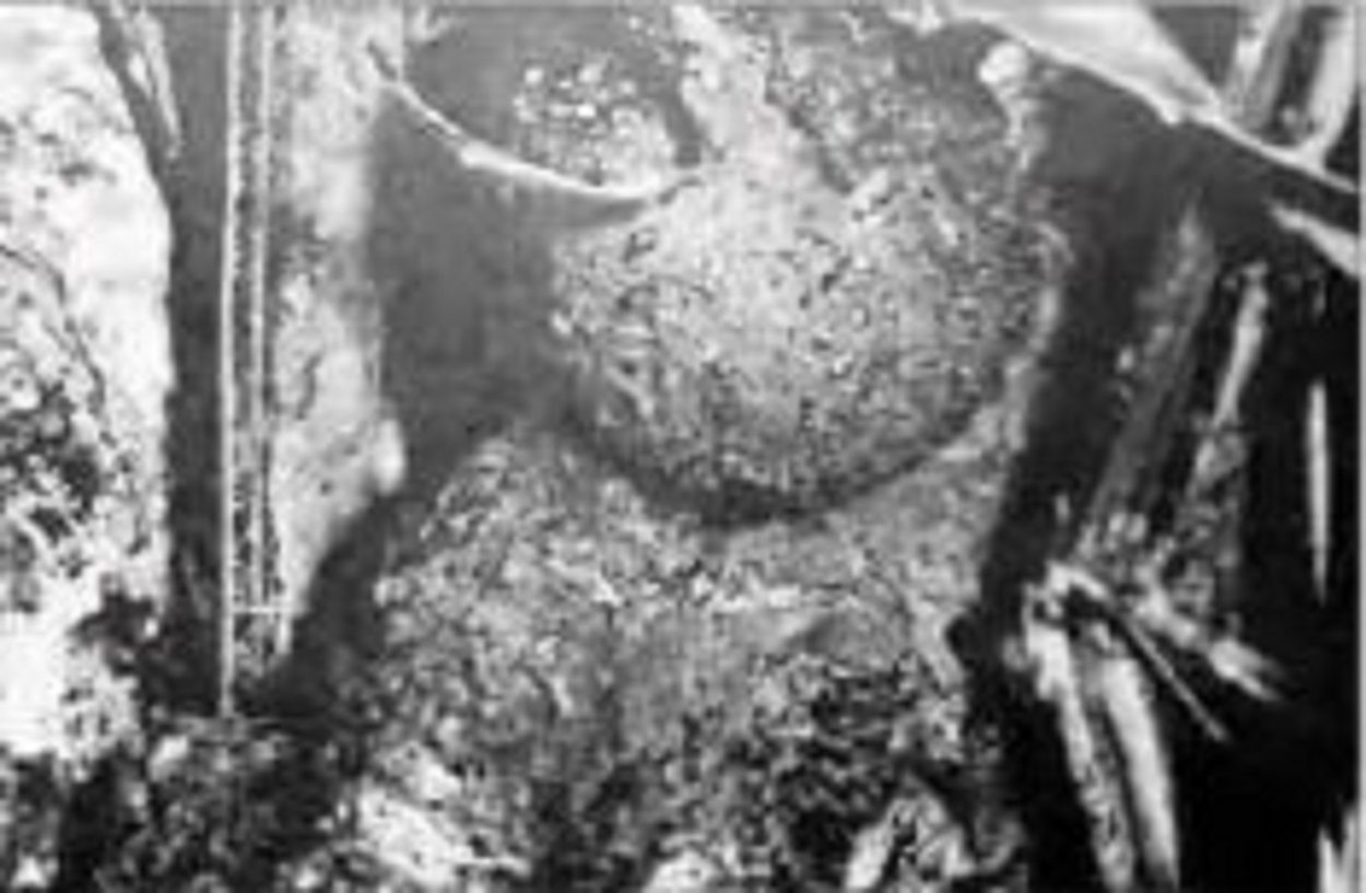 A picture claiming to show charred remains of an alien