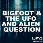 UFO Insight